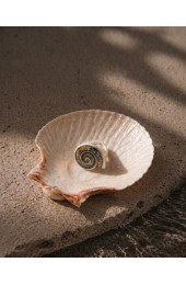 Bali Handmade Shell Rings